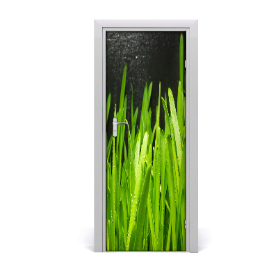 Autocolant de uşă Iarbă
