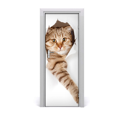 Autocolant uşă Pisică