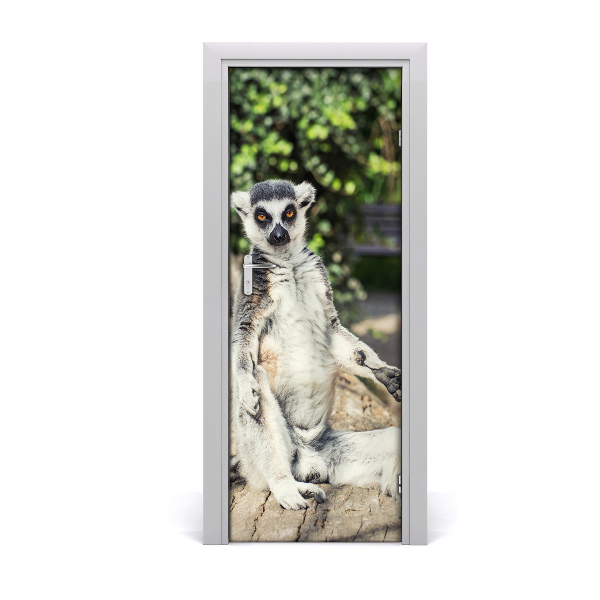 Autocolant de uşă Lemur