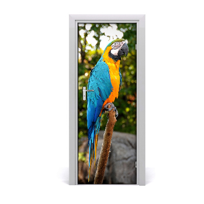 Autocolant uşă Papagal Ara