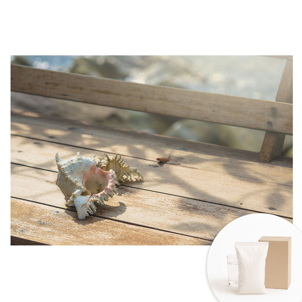 Tapet nețesut O scoică pe o bancă de lemn