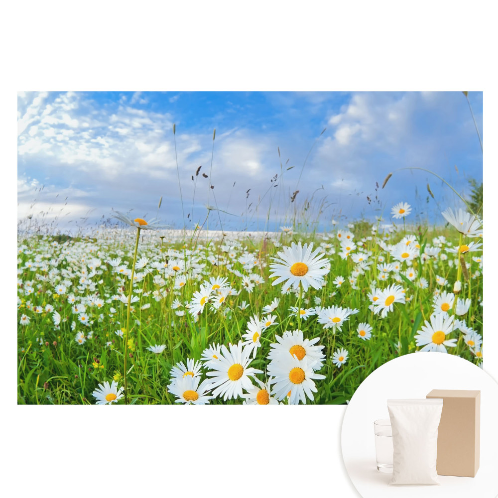 Tapet foto mare pentru perete O pajiște înflorită vara
