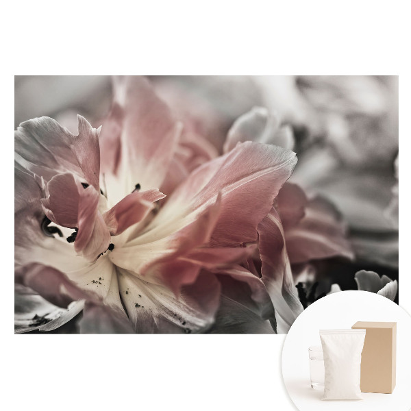 Fototapet cu imprimeu pe material nețesut Prim-plan al petalelor delicate de flori