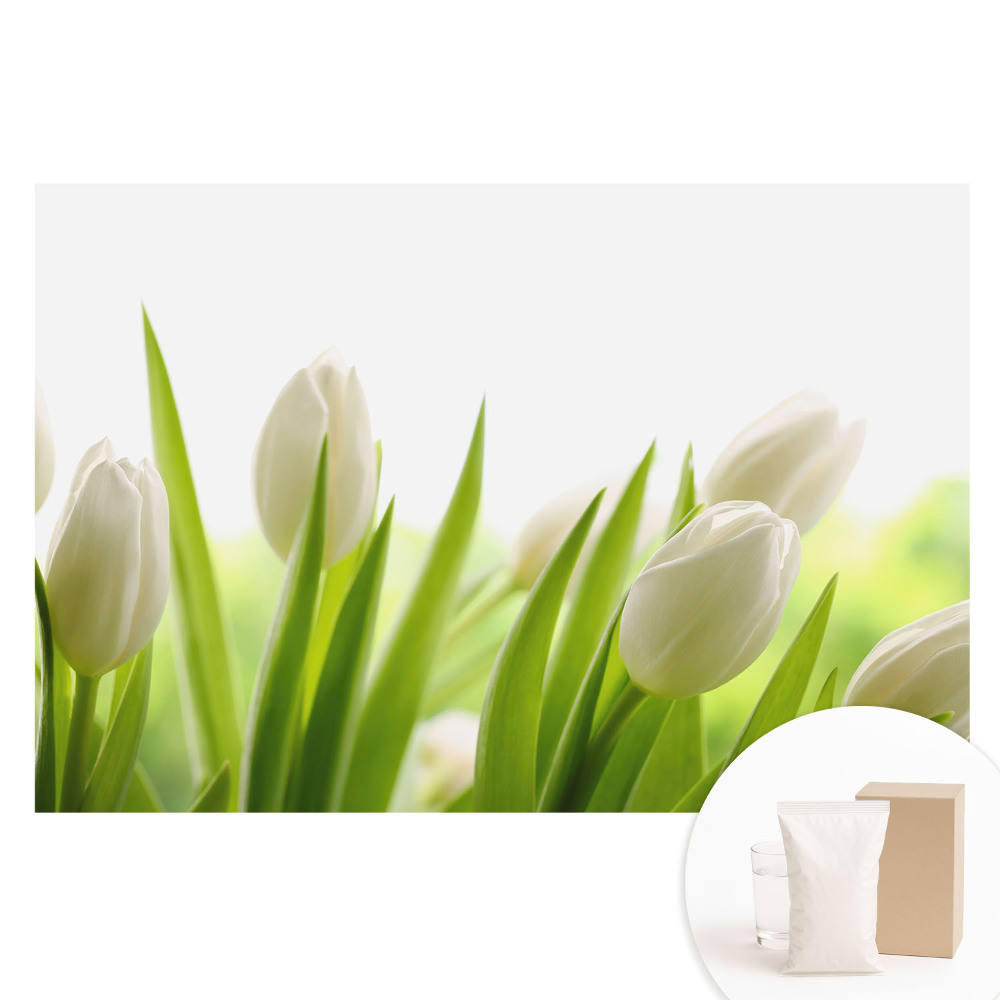 Tapet fotografic din material nețesut cu lalele albe subtile și design modern