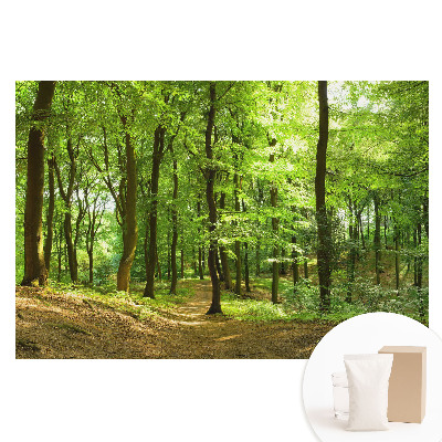 Tapet foto pe material nețesut Pădure verde proaspătă