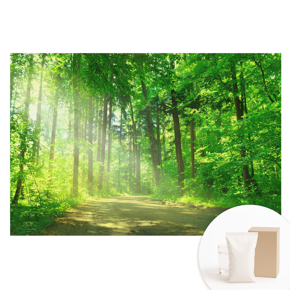 Fototapet din material nețesut cu peisaj pădure verde sub razele soarelui