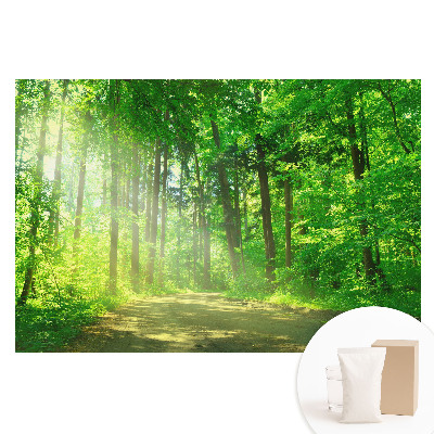 Fototapet cu imprimeu pe material nețesut Pace verde a soarelui în pădure