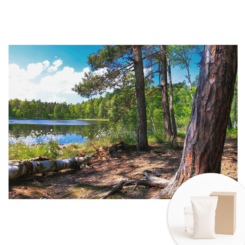 Tapet fotografic din material nețesut cu peisaj forestier lângă lac și pace naturală