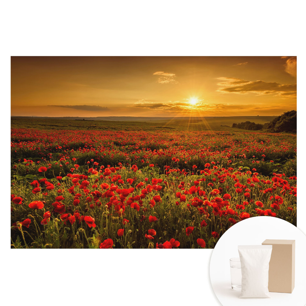 Tapet fotografic pe material nețesut Apus de soare într-un câmp de maci