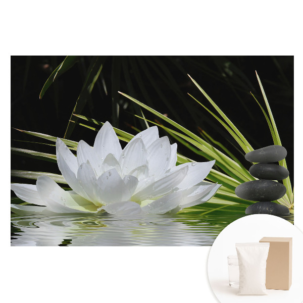 Tapet foto mare pentru perete Meditație cu pietre de crin alb
