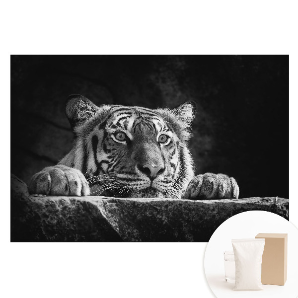 Tapet foto pe material nețesut Tigru în alb și negru