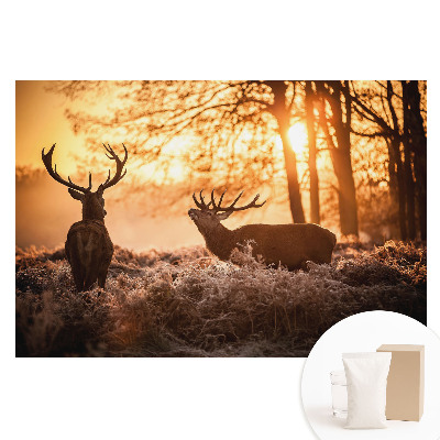 Tapet fotografic pe material nețesut Cerbi de toamnă în lumina răsăritului