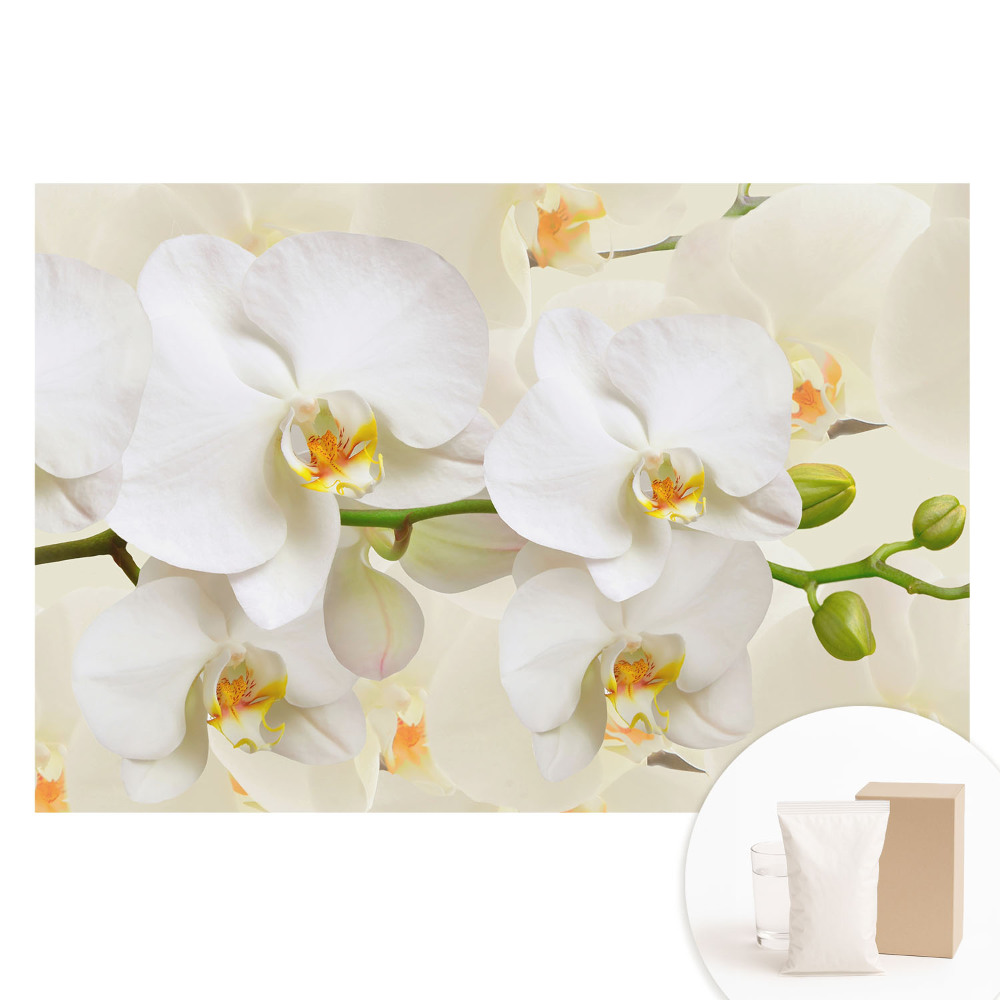 Tapet nețesut Orhidee albe, prospețime în stil modern