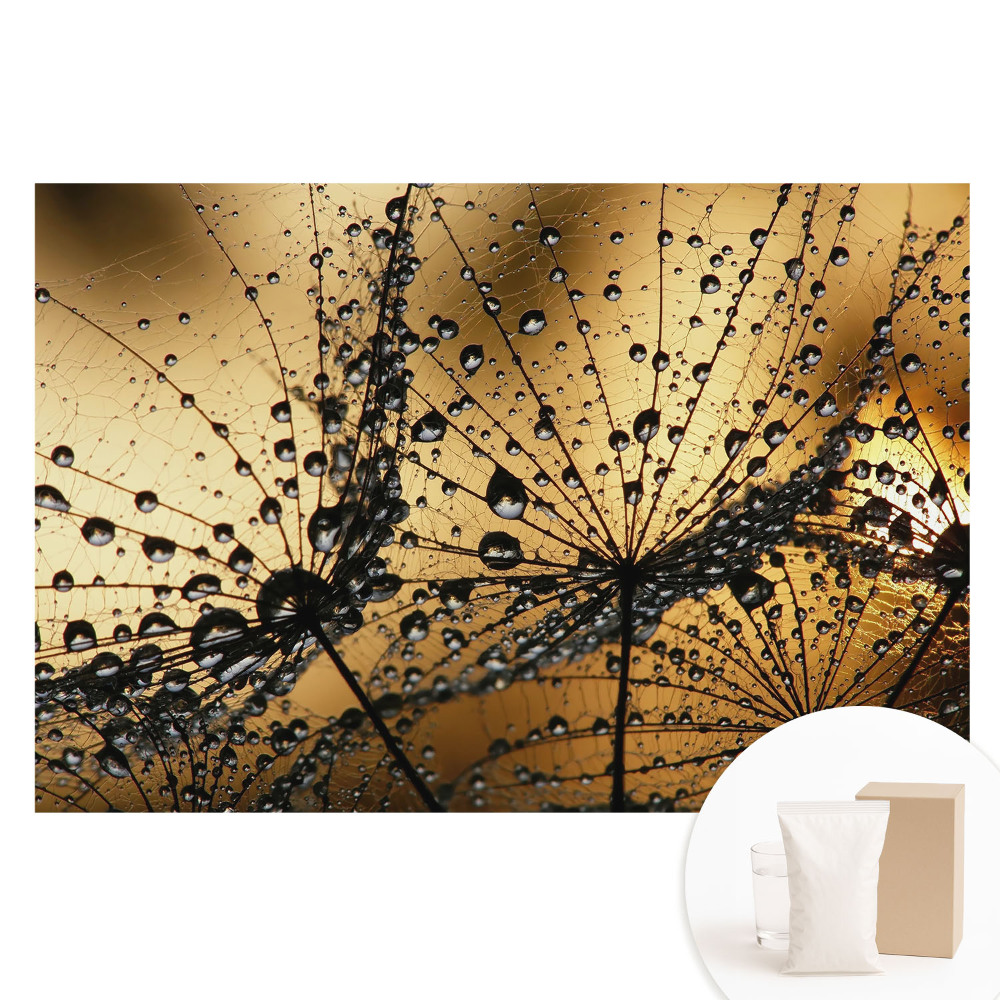 Tapet foto mare pentru perete Picături elegante pe plasă în lumină