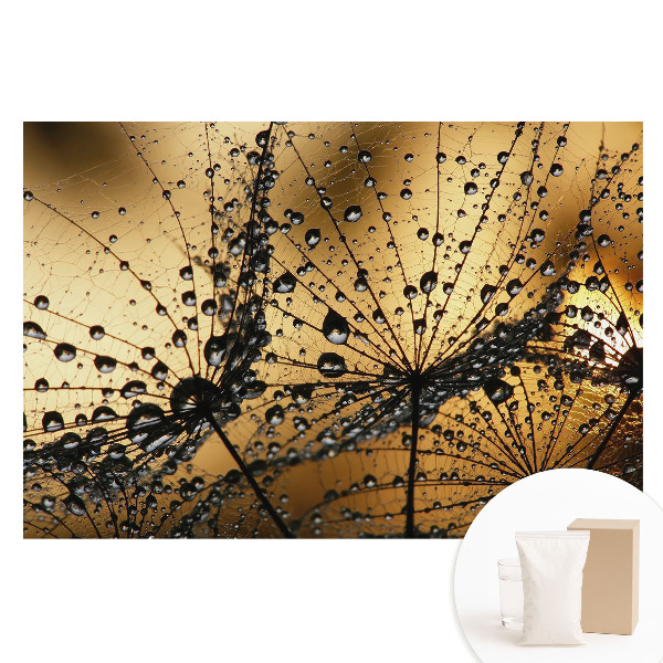 Tapet foto mare pentru perete Picături elegante pe plasă în lumină