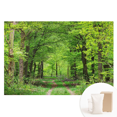Tapet foto pentru perete Peisaj armonios de pădure verde