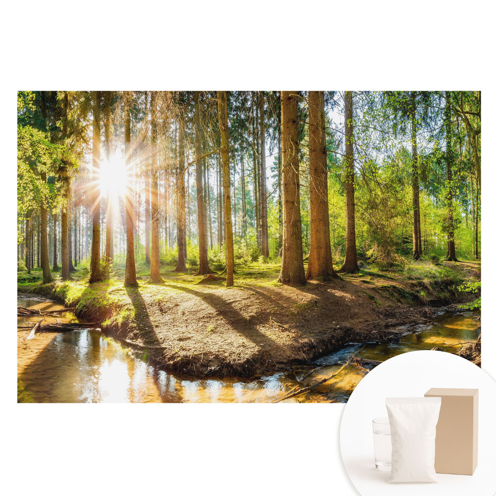 Fototapet cu imprimeu pe material nețesut Soare radiant într-un peisaj forestier