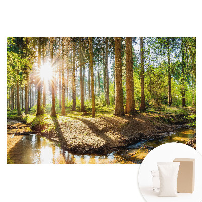Fototapet cu imprimeu pe material nețesut Soare radiant într-un peisaj forestier