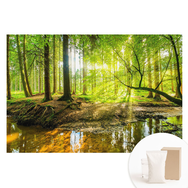 Fototapet cu imprimeu pe material nețesut Pace în pădure, lumină, pârâu