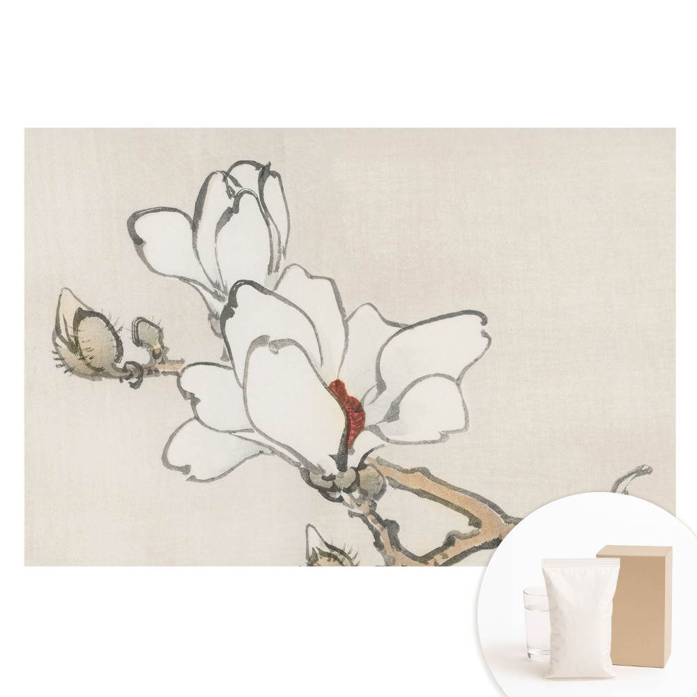 Tapet nețesut cu design de magnolii clasice în nuanțe de cerneală
