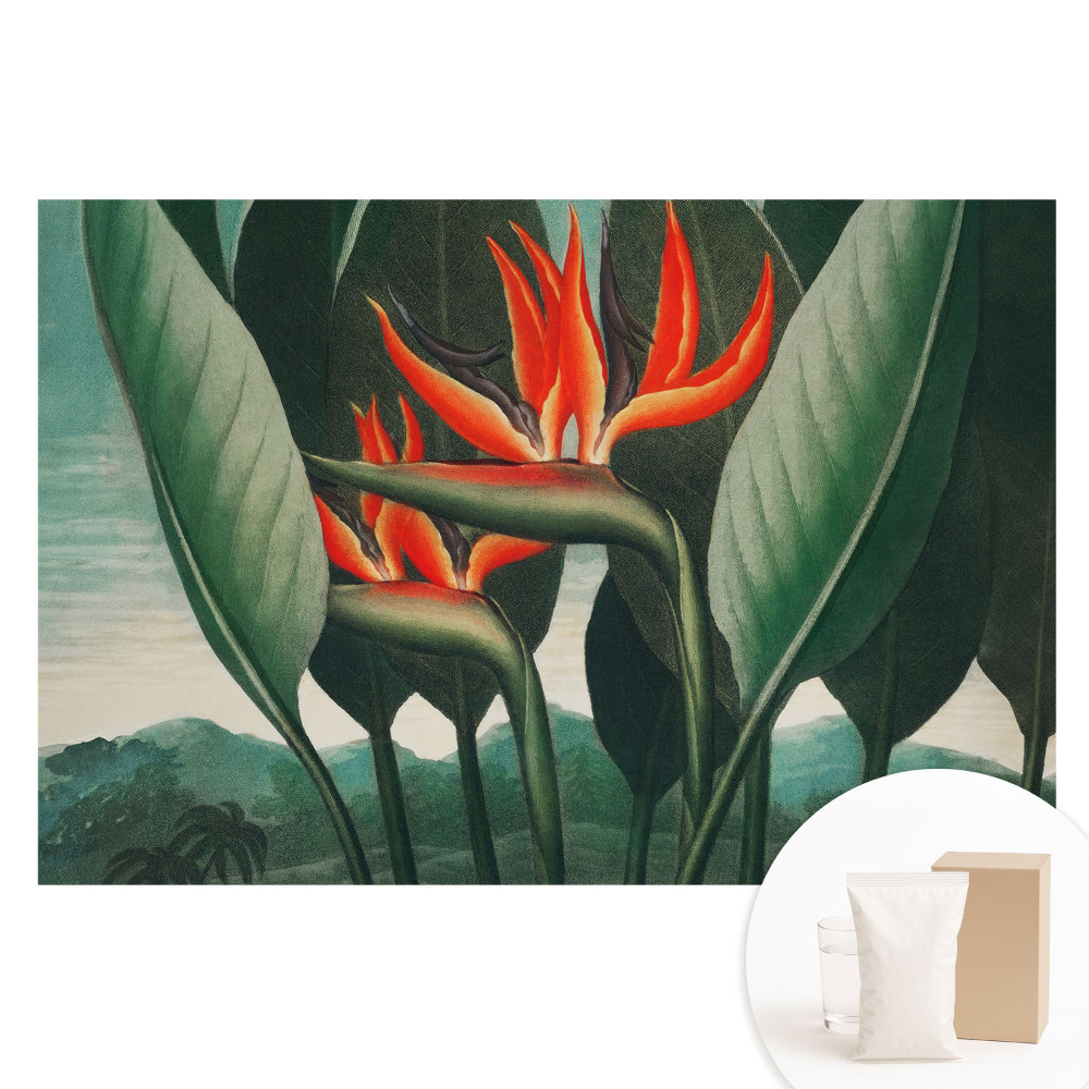 Tapet foto pe material nețesut Plante exotice pe un fundal verde