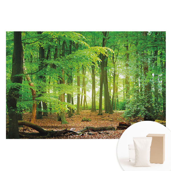 Fototapet cu imprimeu pe material nețesut Peisaj forestier cu raze de soare