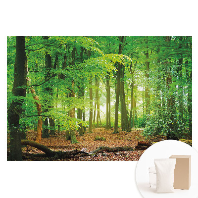 Fototapet din material nețesut cu peisaj forestier și raze de soare