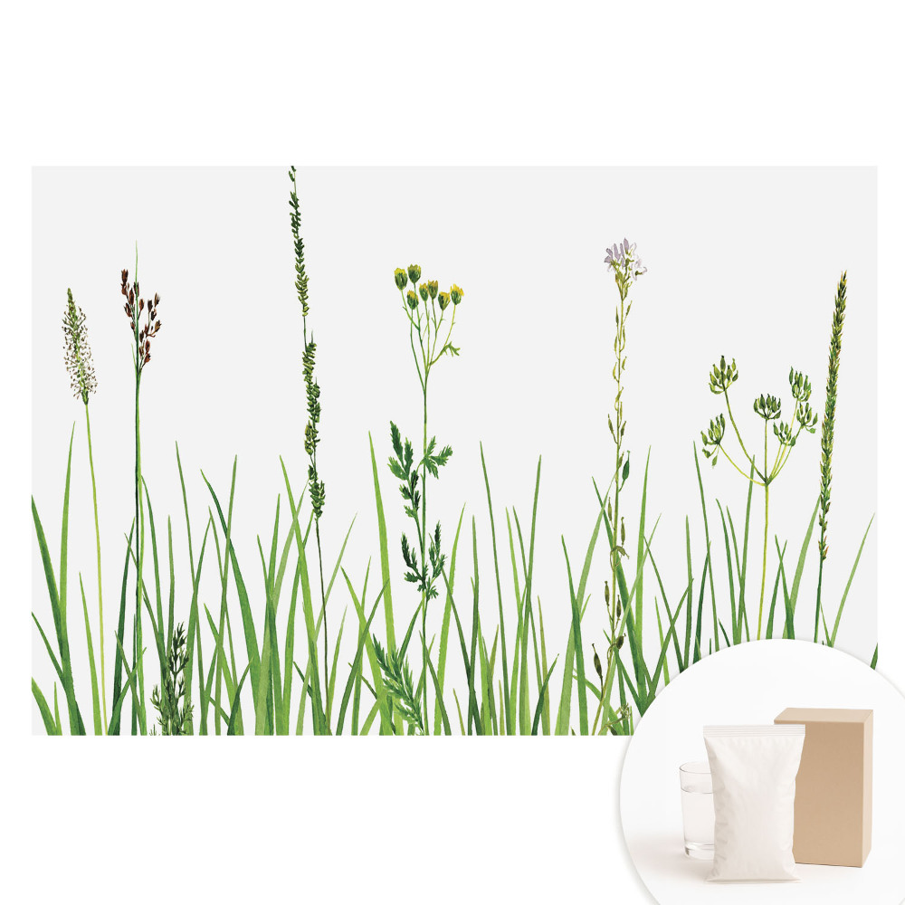 Tapet nețesut cu imprimeu Flori sălbatice și ierburi în acuarelă, armonie a naturii