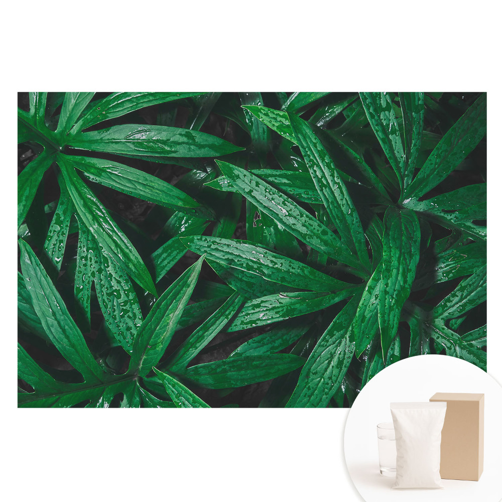 Tapet nețesut Prim-plan al frunzelor