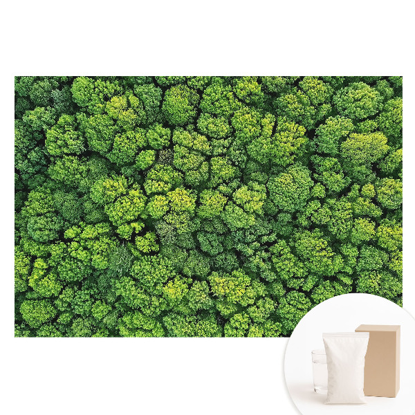 Tapet foto mare pentru perete Pădurea verde de sus