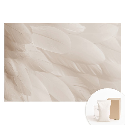 Tapet foto pe material nețesut Compoziție armonioasă de pene delicate