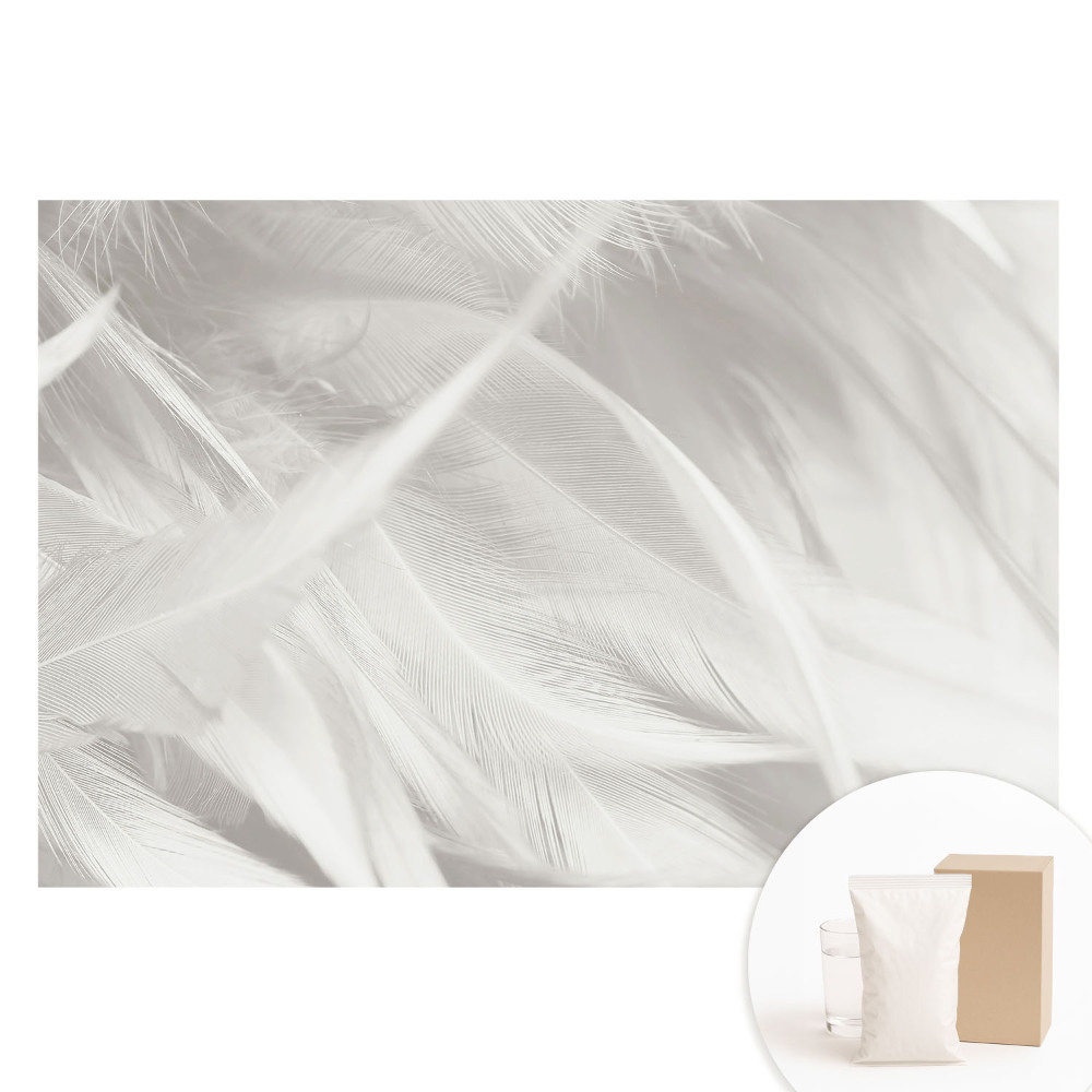 Tapet fotografic nețesut Pene albe pufoase