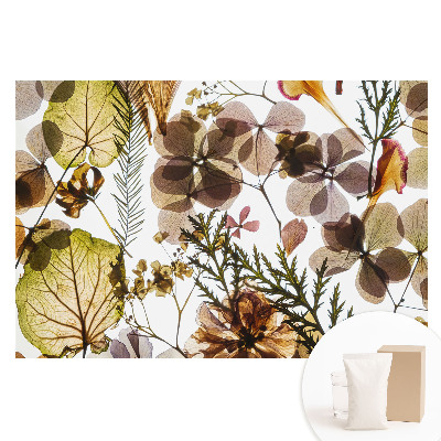 Tapet fotografic pe material nețesut Frunze și flori uscate în stil boho