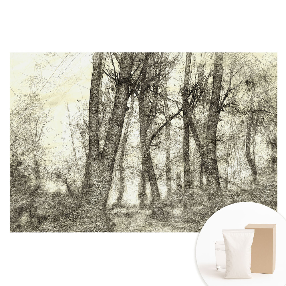 Tapet fotografic nețesut Peisajul atmosferic al pădurii