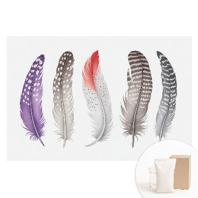 Tapet nețesut Pene colorate într-un stil modern