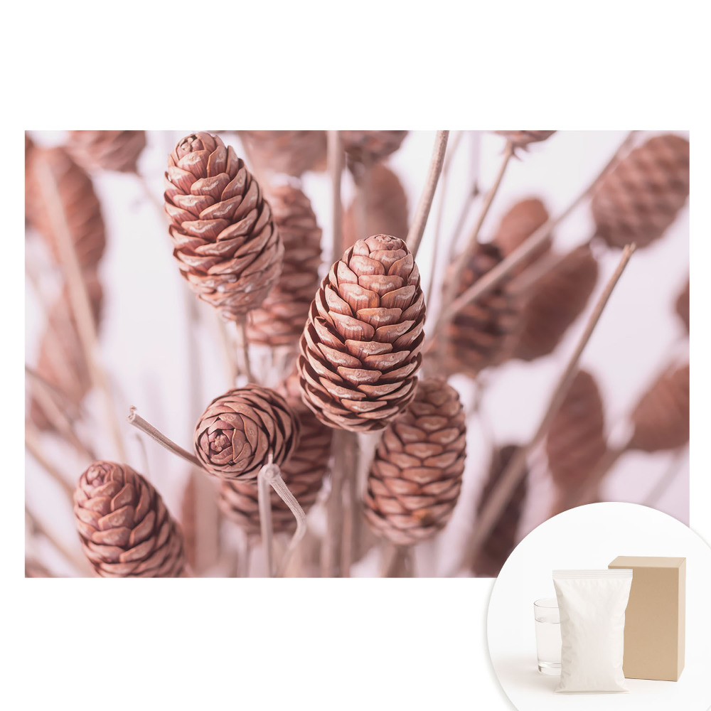 Tapet fotografic nețesut Conuri de pin în stil rustic