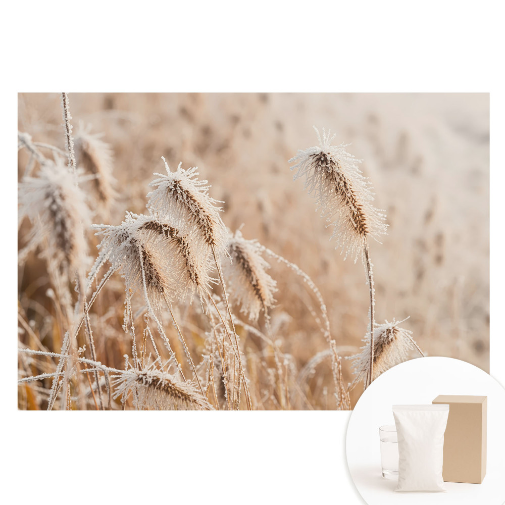 Tapet nețesut Îngheț pe iarbă frumusețea iernii natură