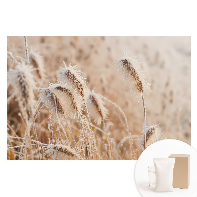 Tapet nețesut Îngheț pe iarbă frumusețea iernii natură