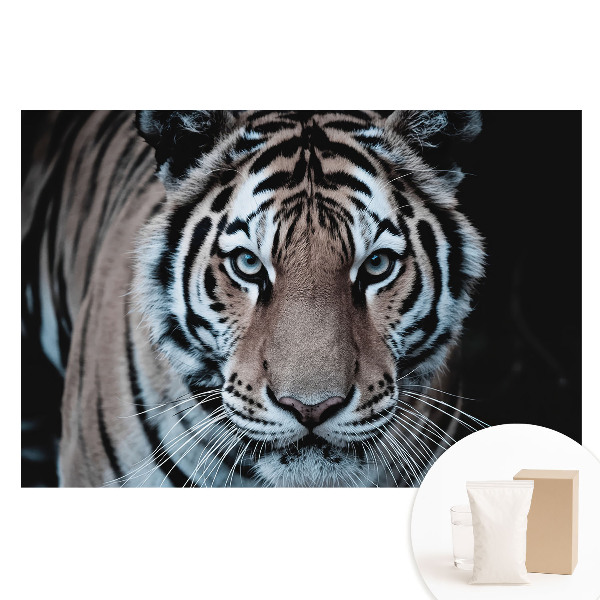 Tapet nețesut cu imprimeu Compoziție dinamică magnetizantă a tigrului