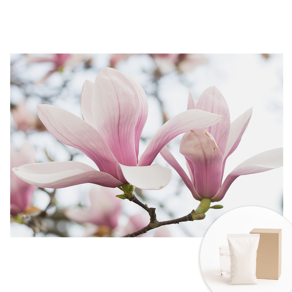 Tapet nețesut cu imprimeu cu magnolii roz în stil romantic