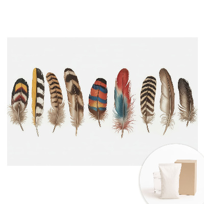 Tapet foto pe material nețesut Pene colorate, model boho unic