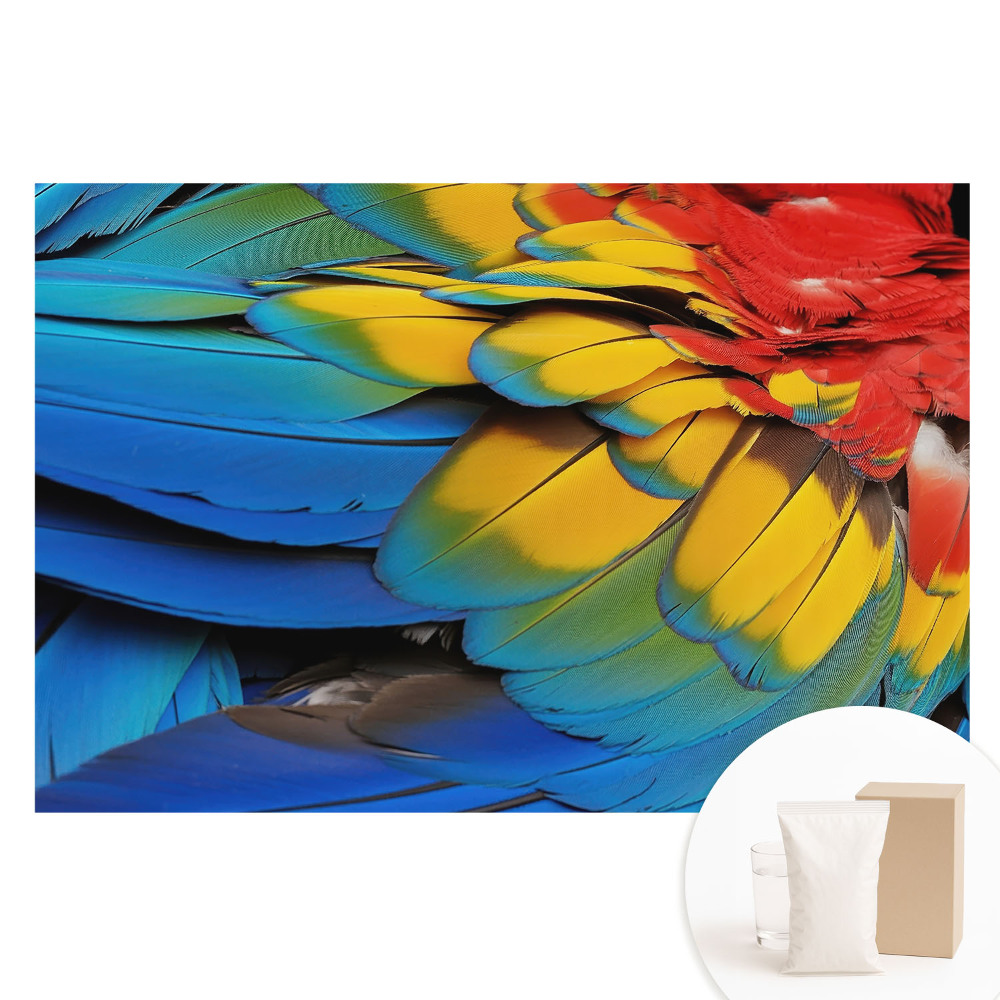 Tapet foto pe material nețesut Un mozaic energic de pene colorate