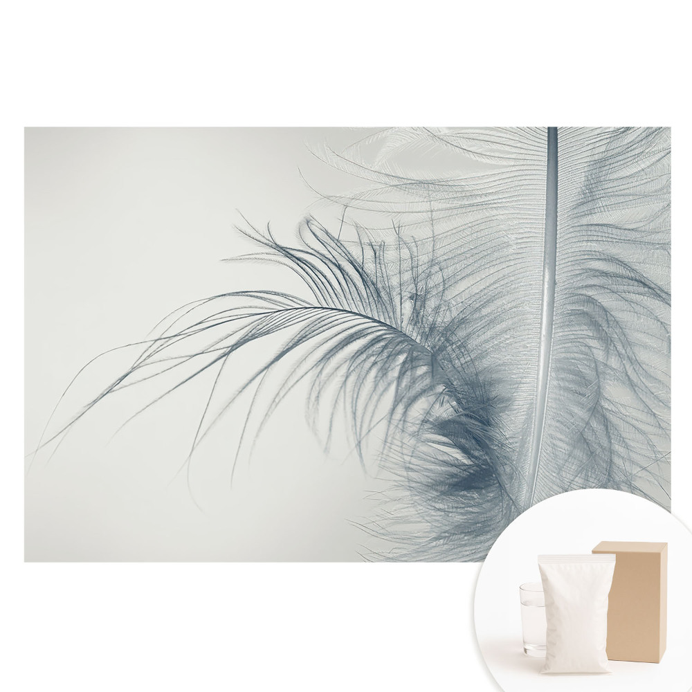 Tapet fotografic nețesut Motivul delicat al penei, ușurința și armonia