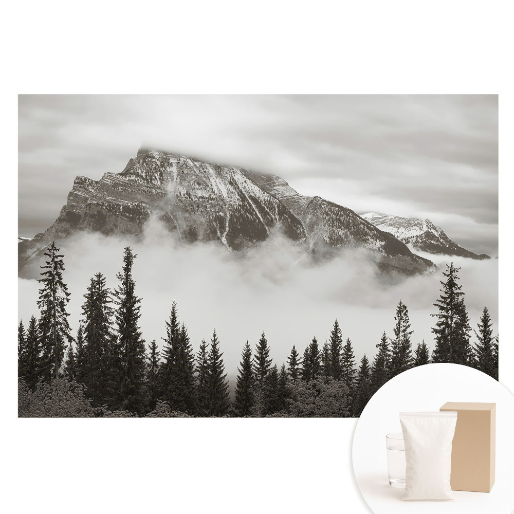 Tapet foto pe material nețesut Peisaj montan înconjurat de ceață