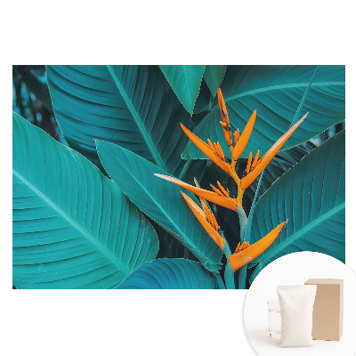 Tapet fotografic pe material nețesut Motiv vegetal exotic