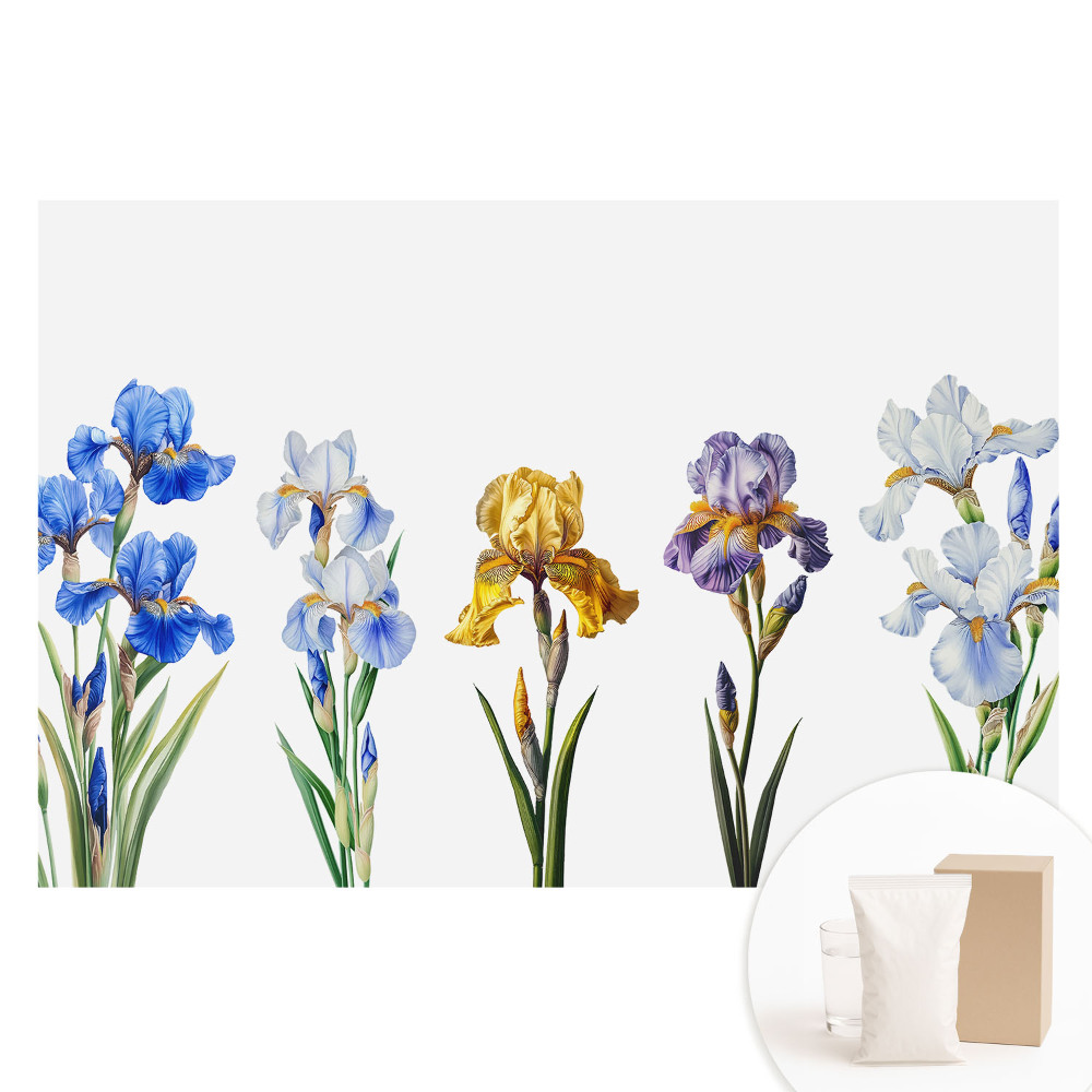 Tapet foto pe material nețesut Flori de iris colorate pe fundal alb