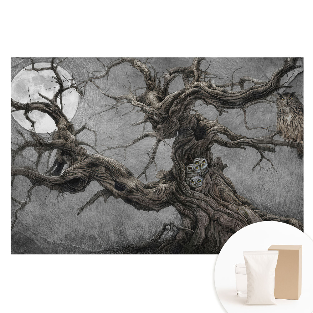 Tapet fotografic nețesut Peisaj magic de noapte cu bufnițe