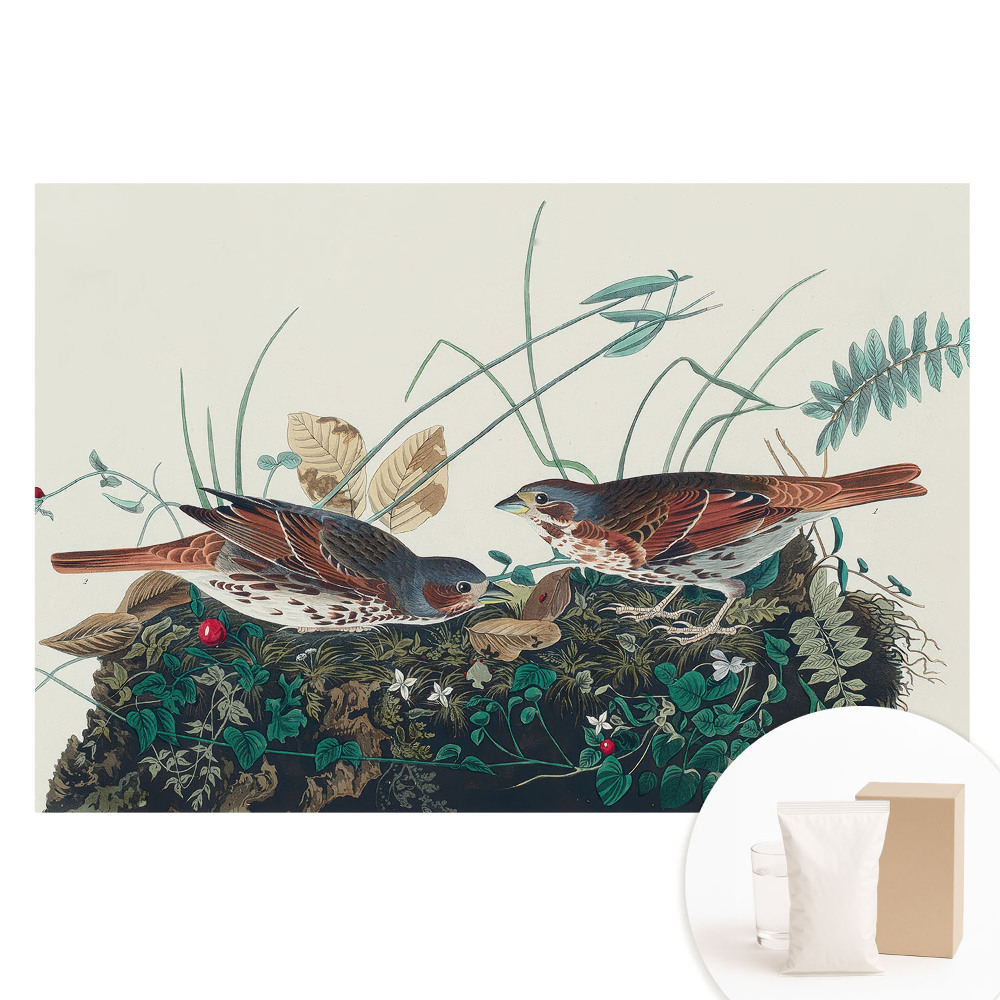 Tapet fotografic pe material nețesut Păsări printre verdeață