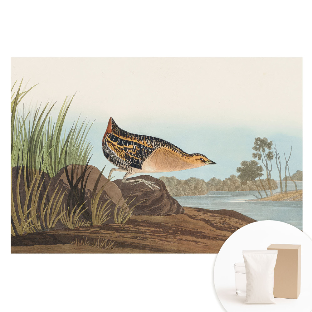 Tapet nețesut O pasăre deasupra apei într-un stil clasic