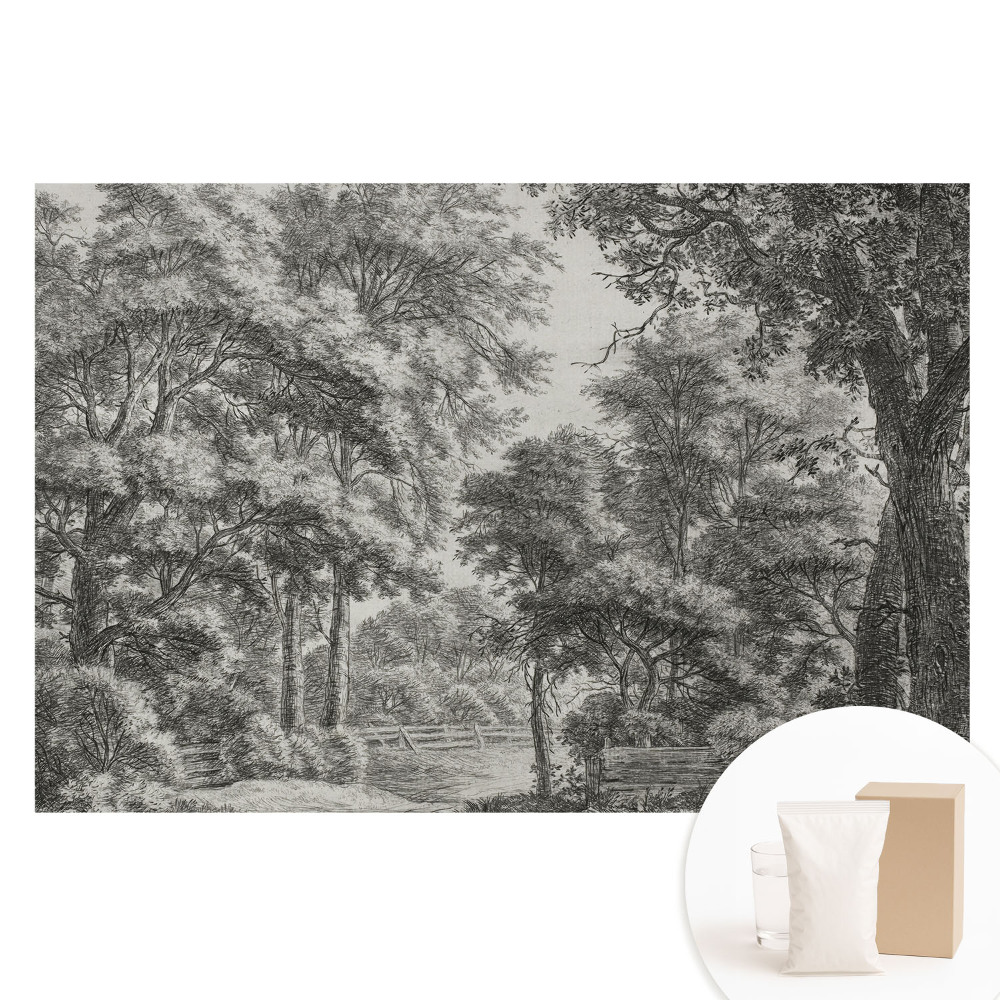 Fototapet pentru perete cu peisaj forestier clasic